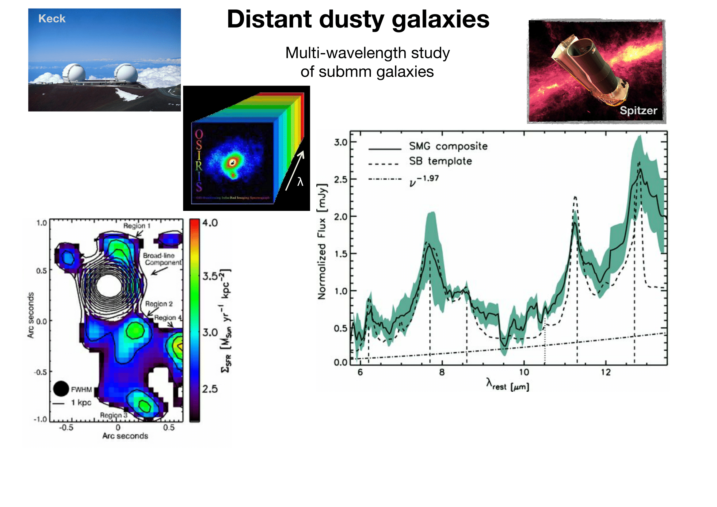 Distant dusty galaxies